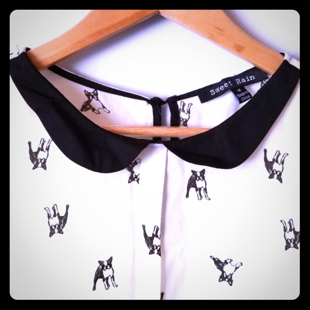 EUC French Bulldog Peplum Sheer Blouse!